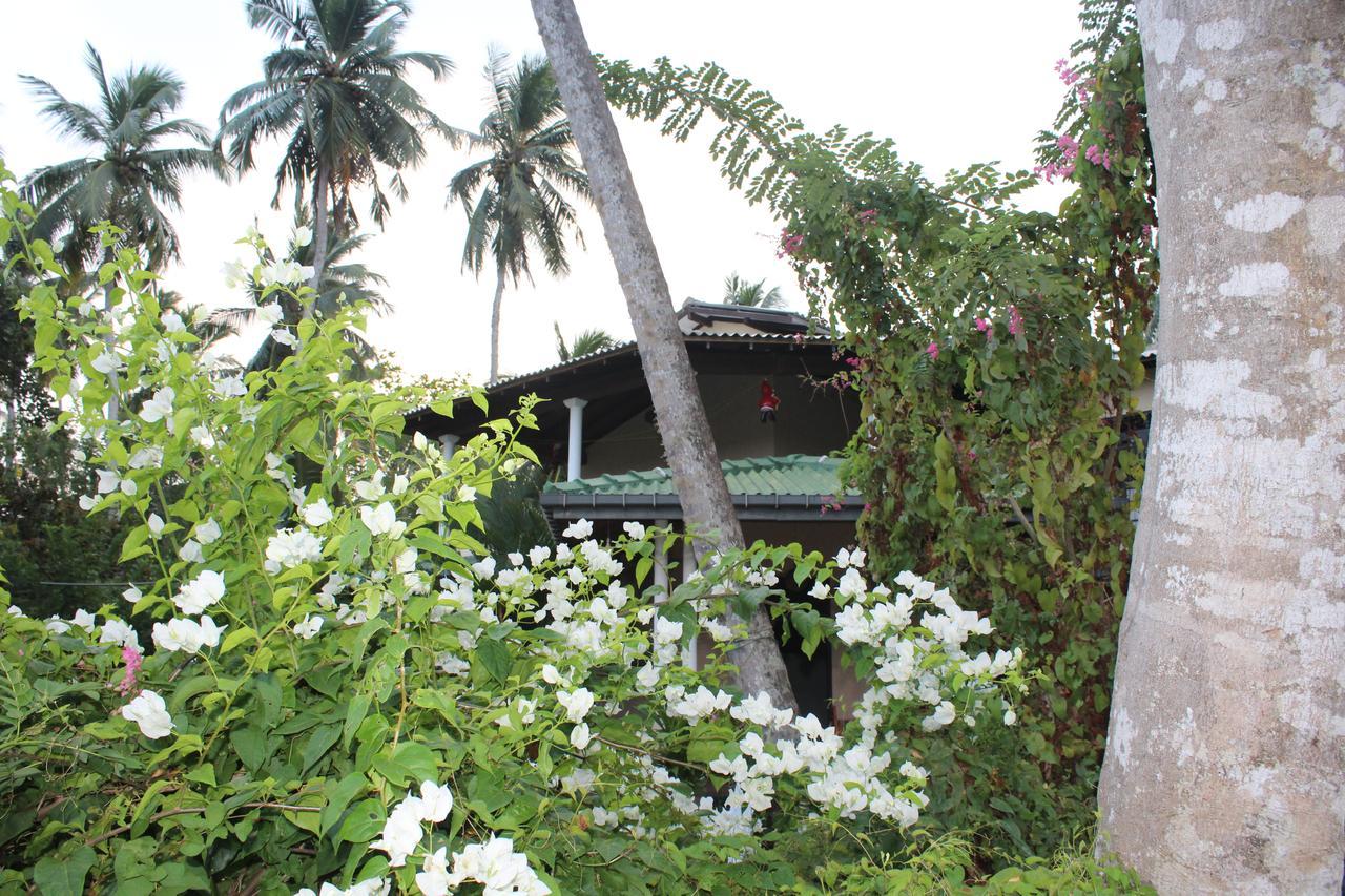 All View Resort Tangalle Exterior foto